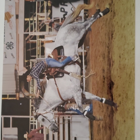 Meet your Posher, Shonna - Picture 10 of 15